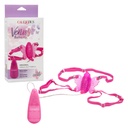 Original Venus Butterfly®